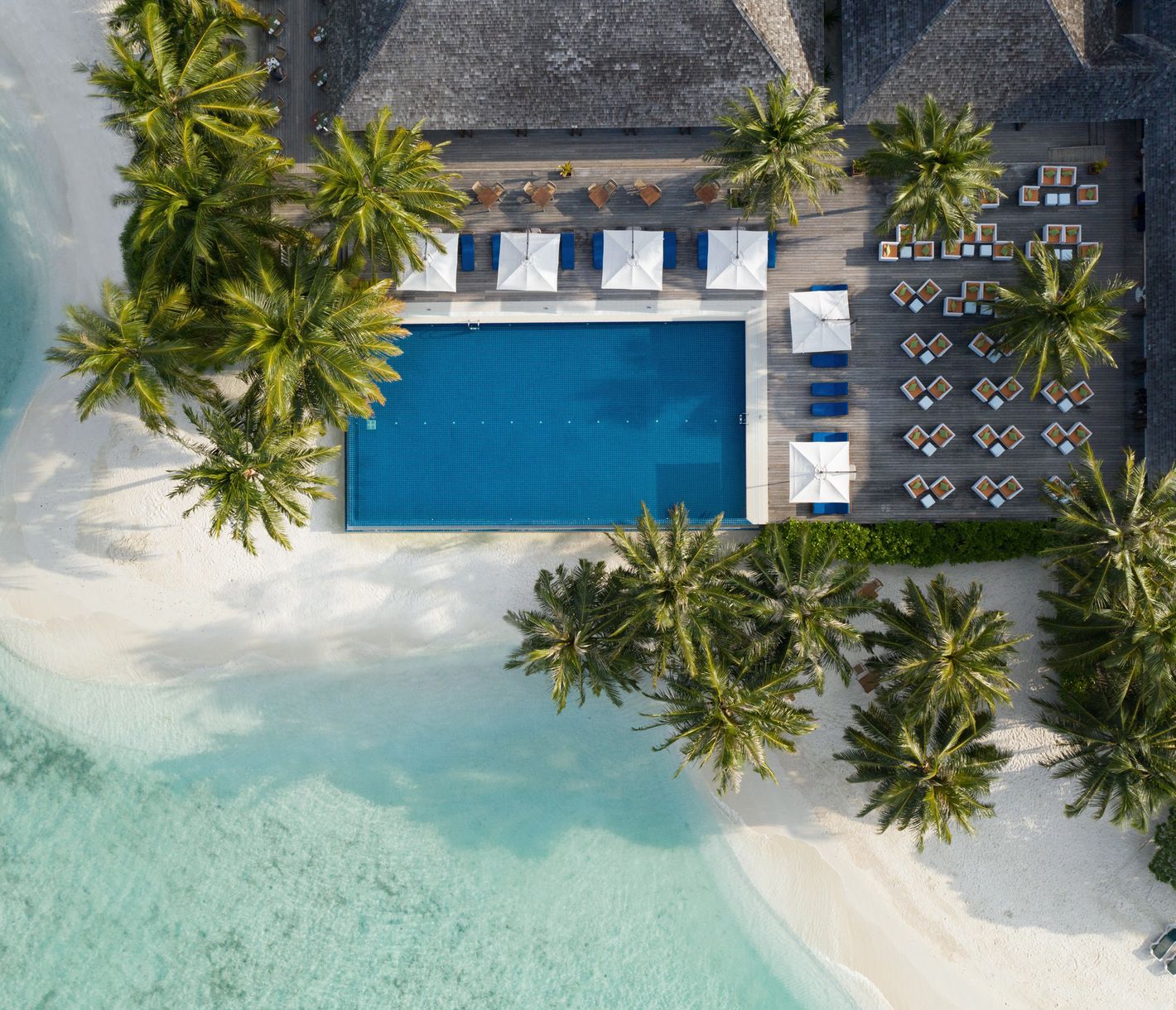 Infinity Pool auf Vilamendhoo – wo Himmel und Meer verschmelzen.
