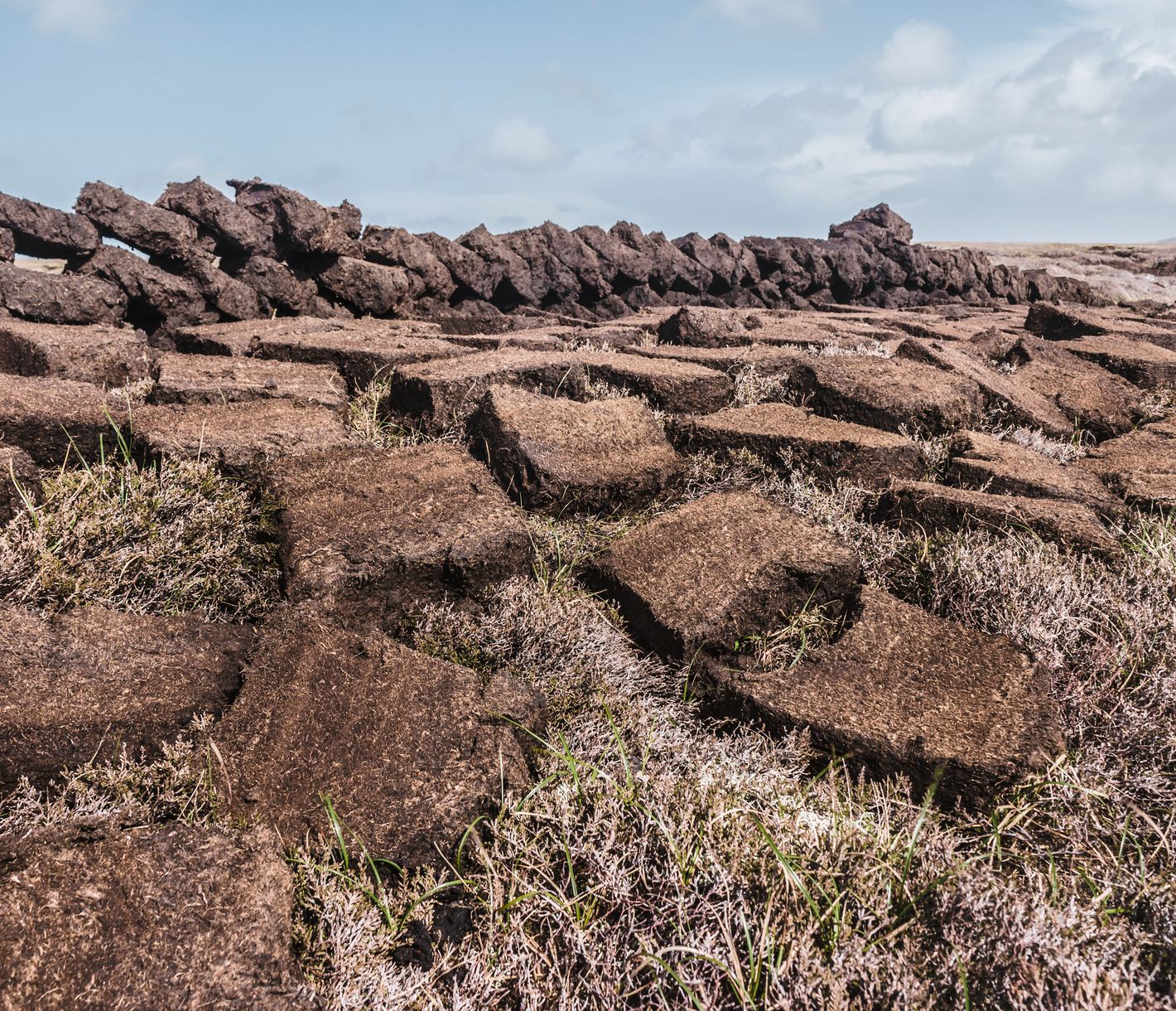 Die Kunst des Torfstechens