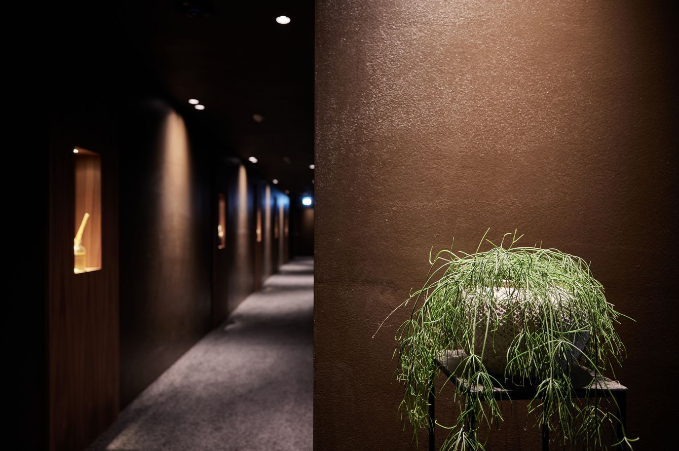 Hotel Saltus