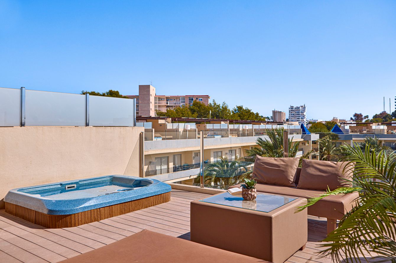 Suite avec 1 chambre Penthouse