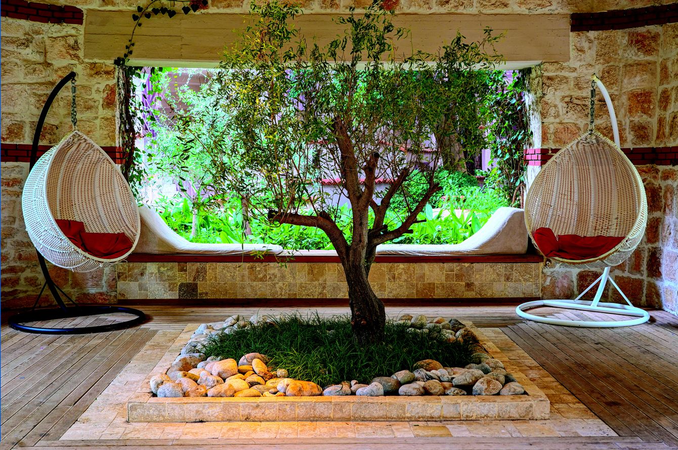 Jardin