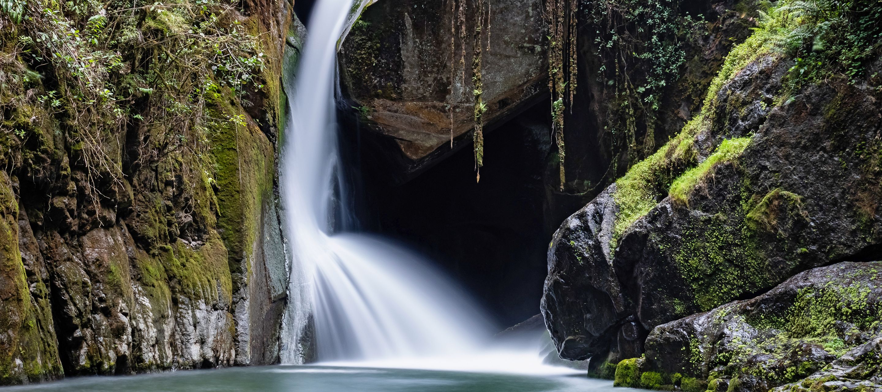 San Gerado de Dota, un sanctuaire au biotope tout à fait particulier