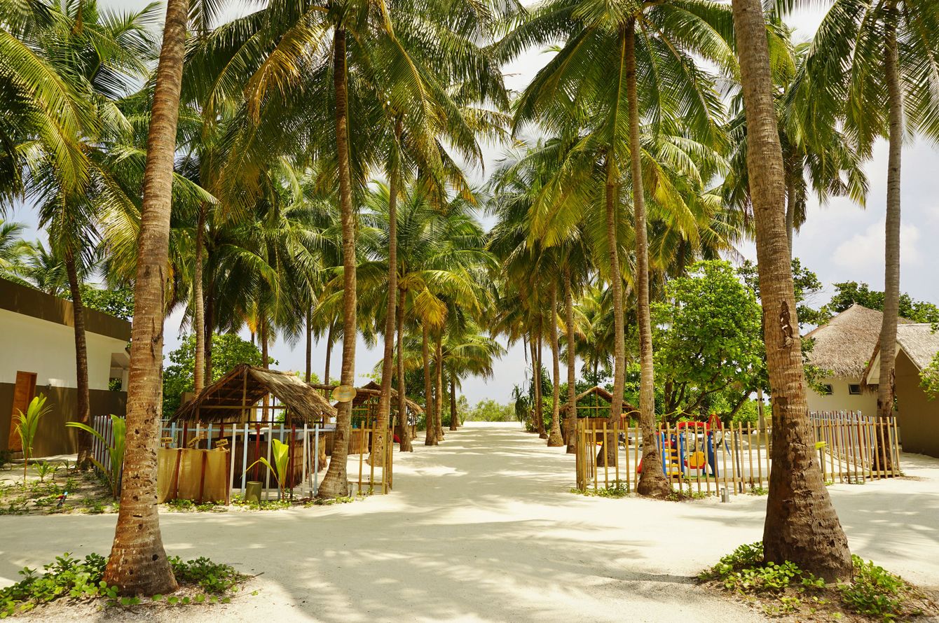 Jardin