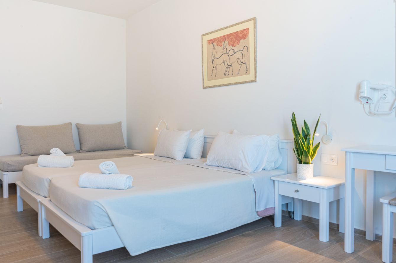 Chambre double Superior