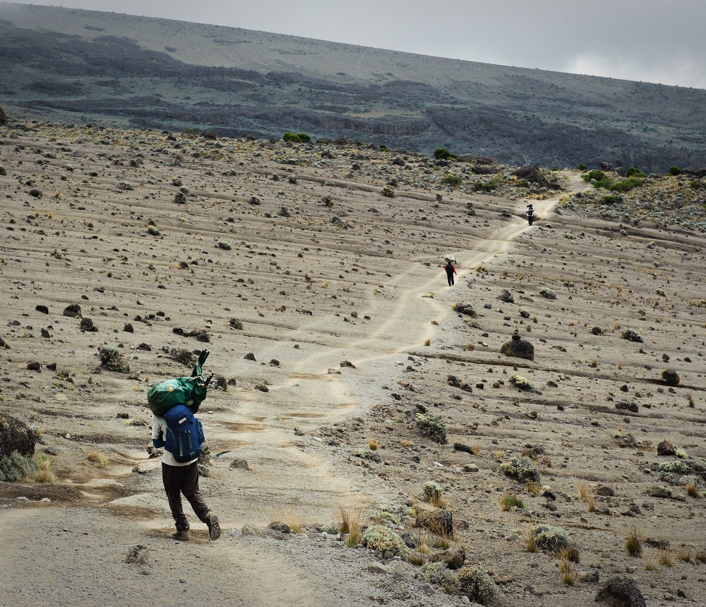 Alpine Steinwüste an den Hängen des Kilimandscharo, kurz auch nur Kili genannt.