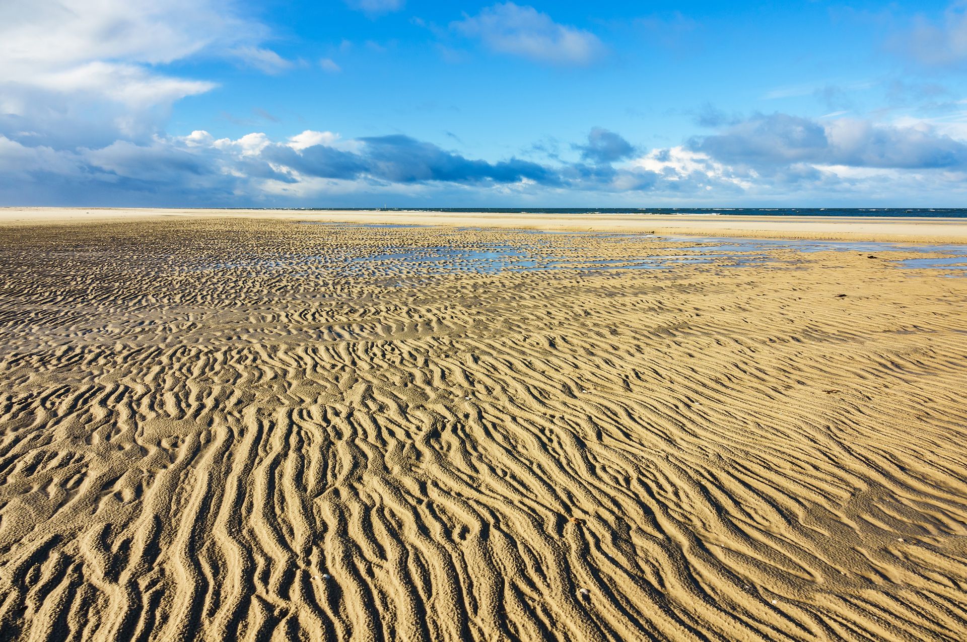 Nationalpark Schleswig-Holsteinisches Wattenmeer