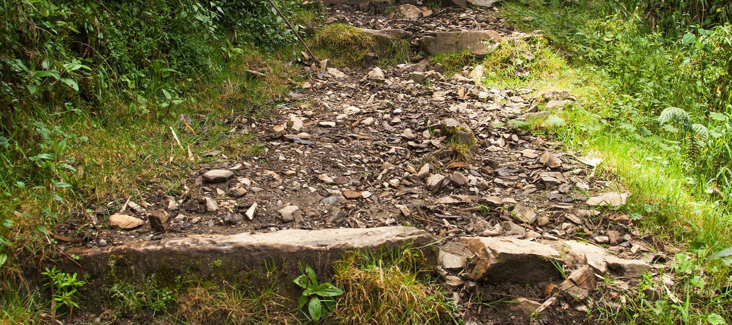 Der steinige Weg, der uns dem Ziel näher bringt.