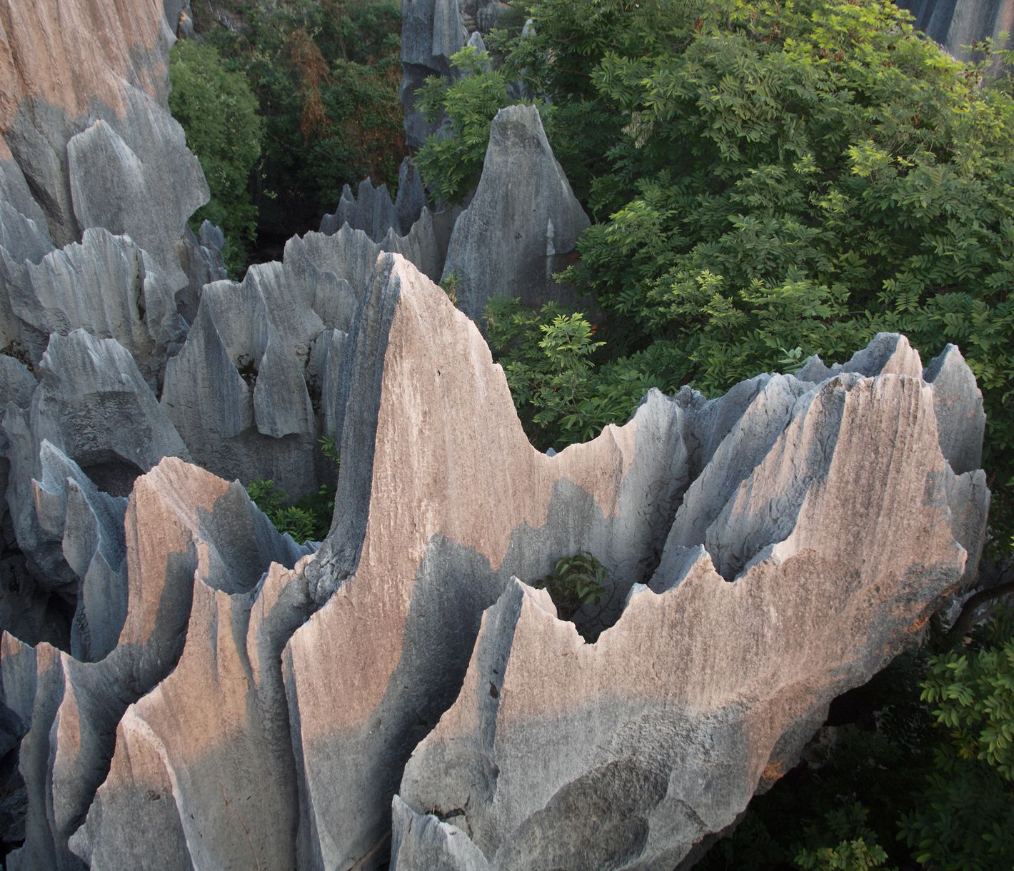 Der Steinwald im südchinesischen Yunnan ist das bedeutendste Naturwunder der Region.