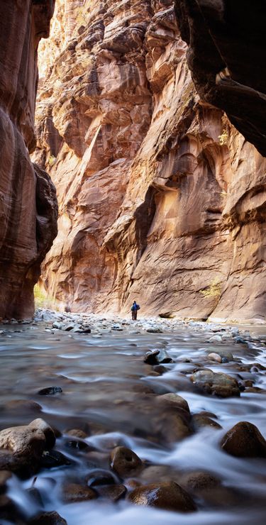 The Narrows Zion National Park.