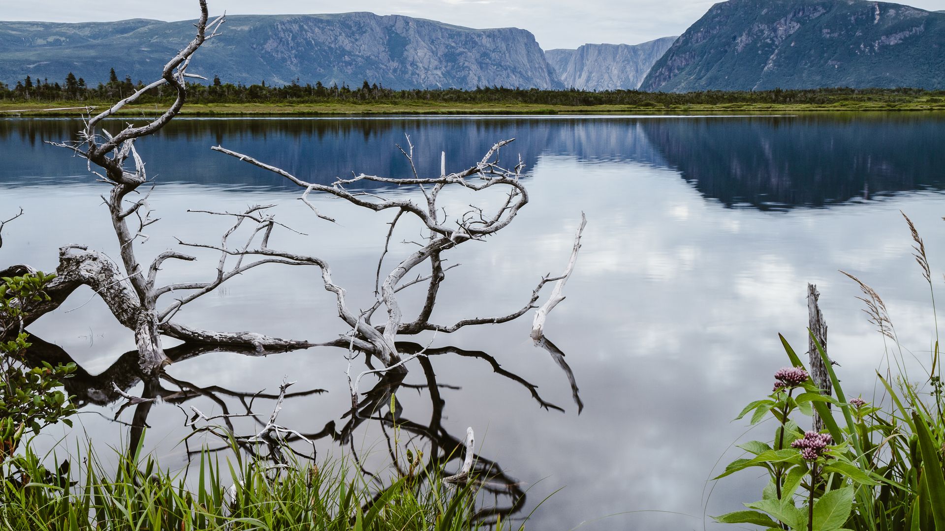 Mystische Fjordlandschaft im Gros Morne Nationalpark