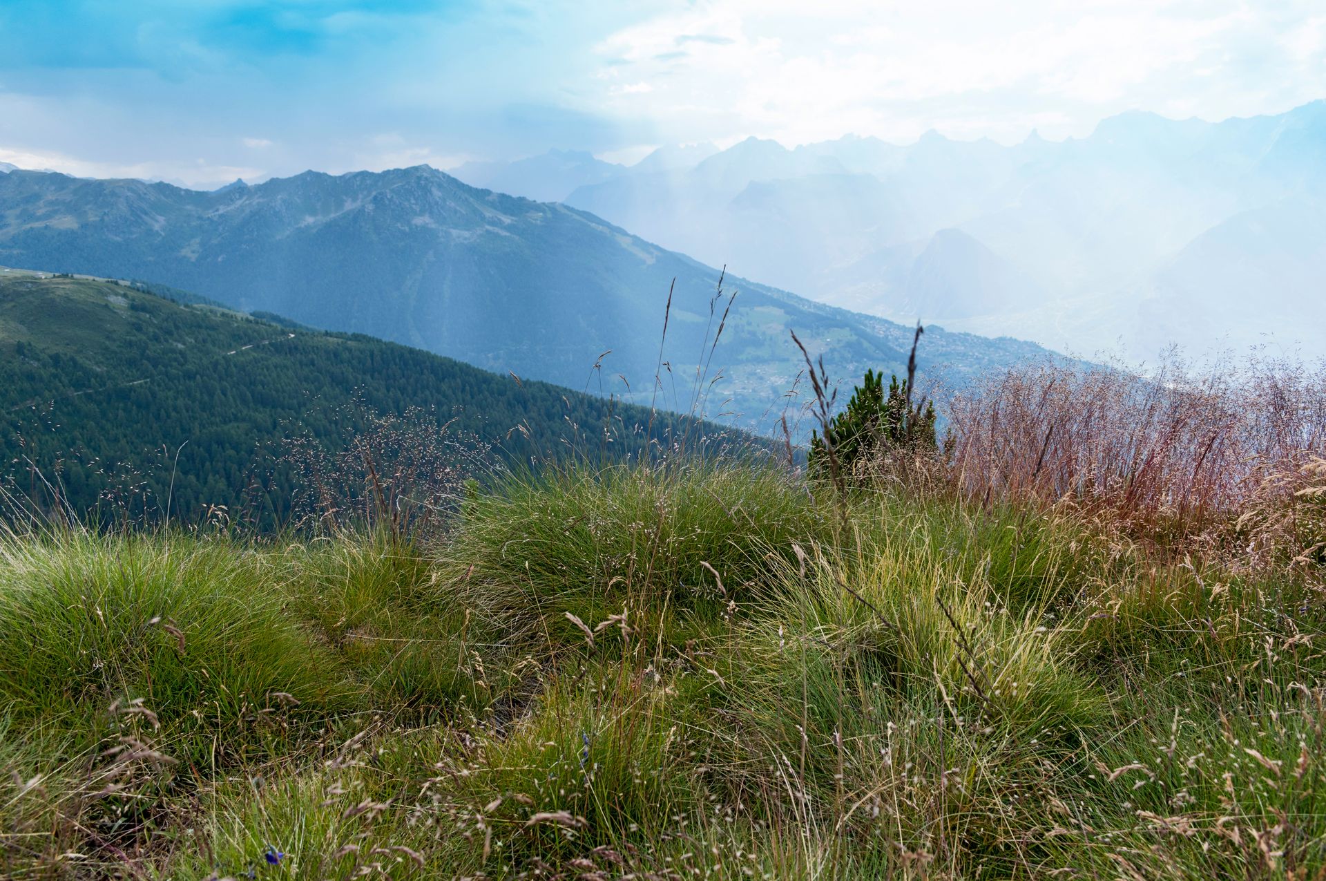 Veysonnaz im Sommer
