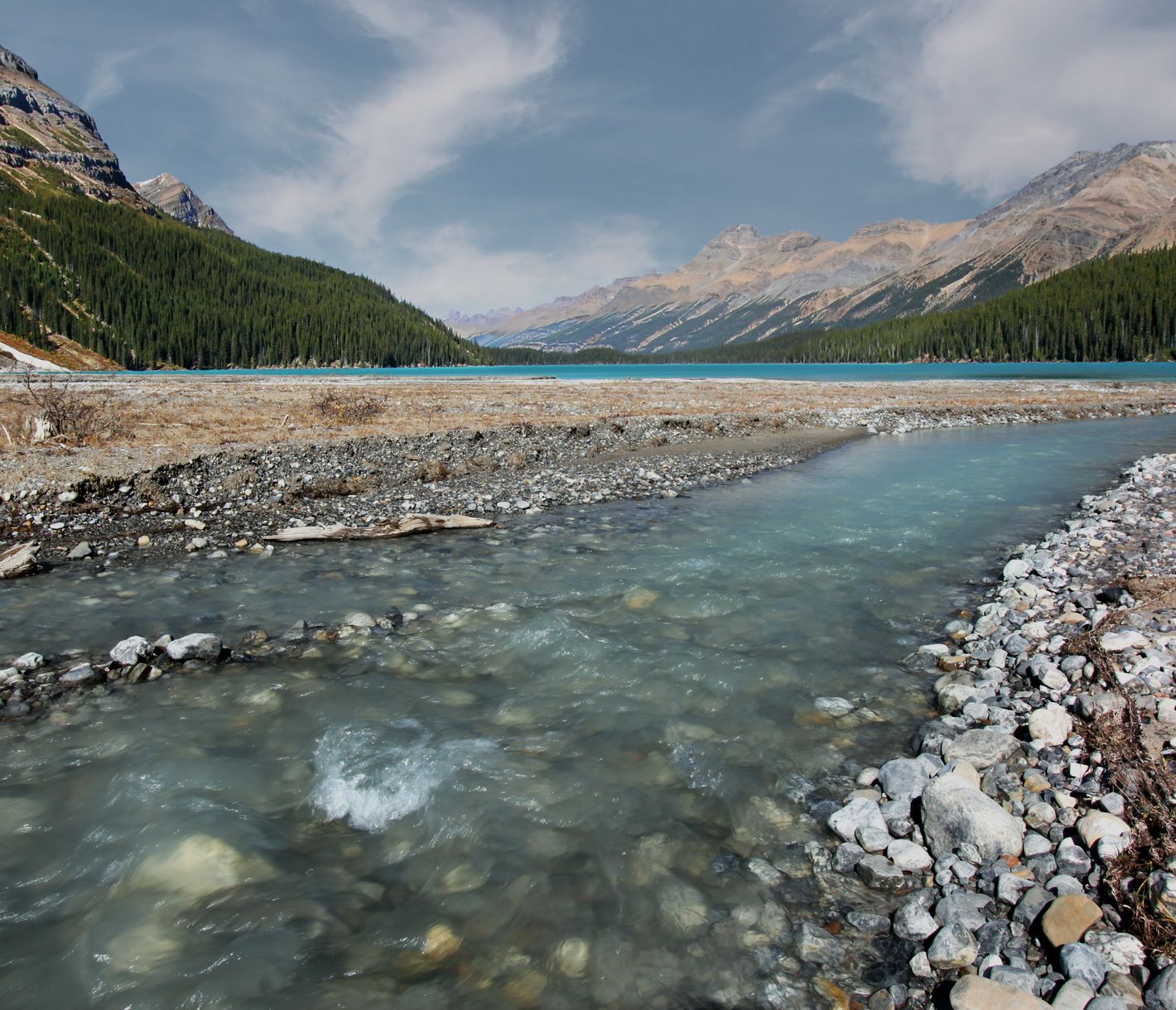 Das tief türkisfarbene Wasser des Peyto Lakes
