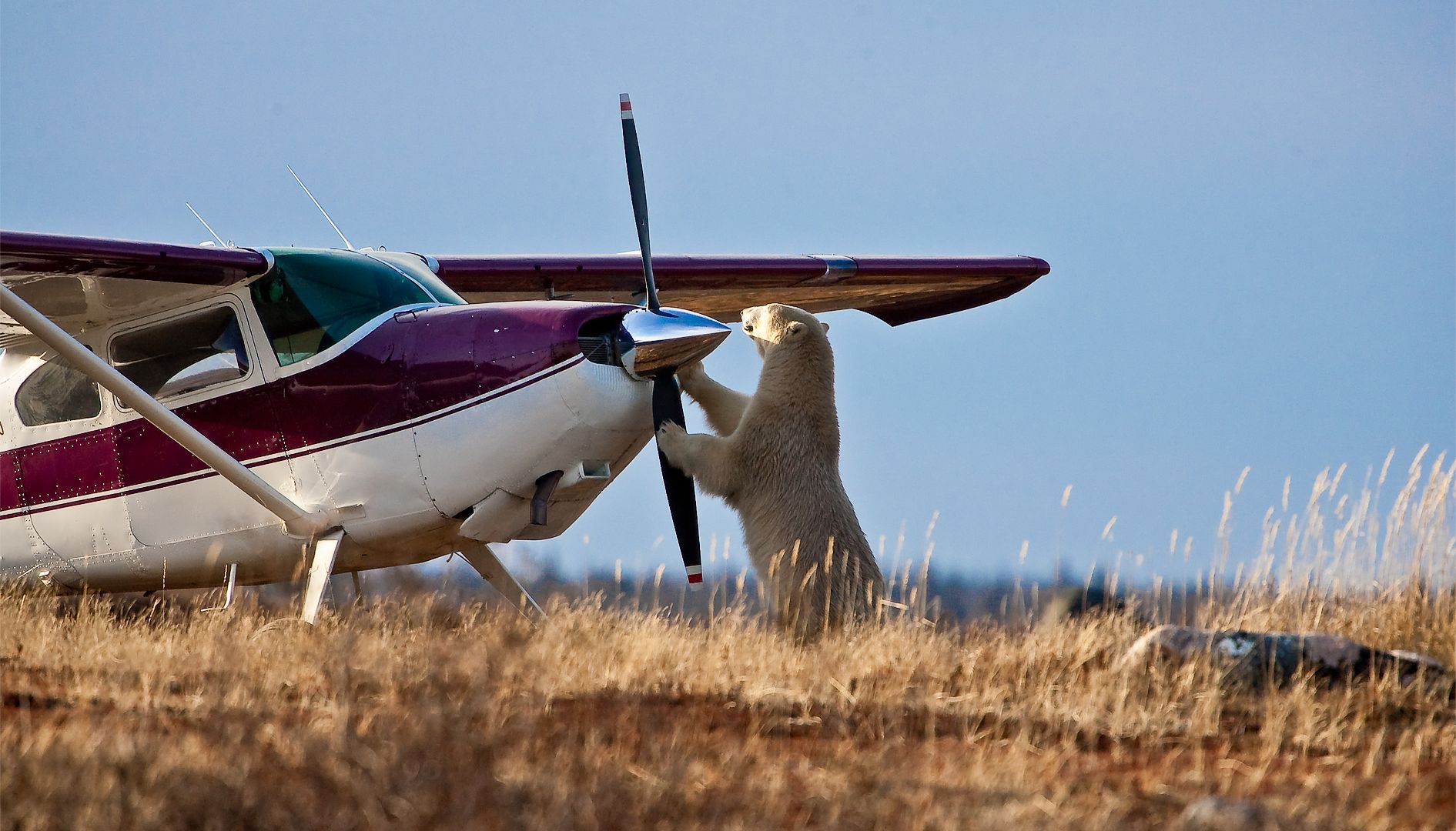 Huch, was ist denn das?