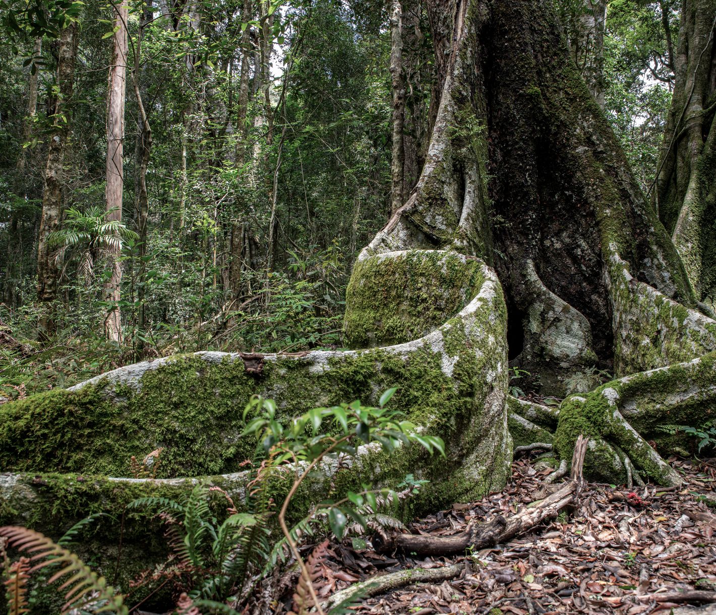 Ein einzigartiges Paradies