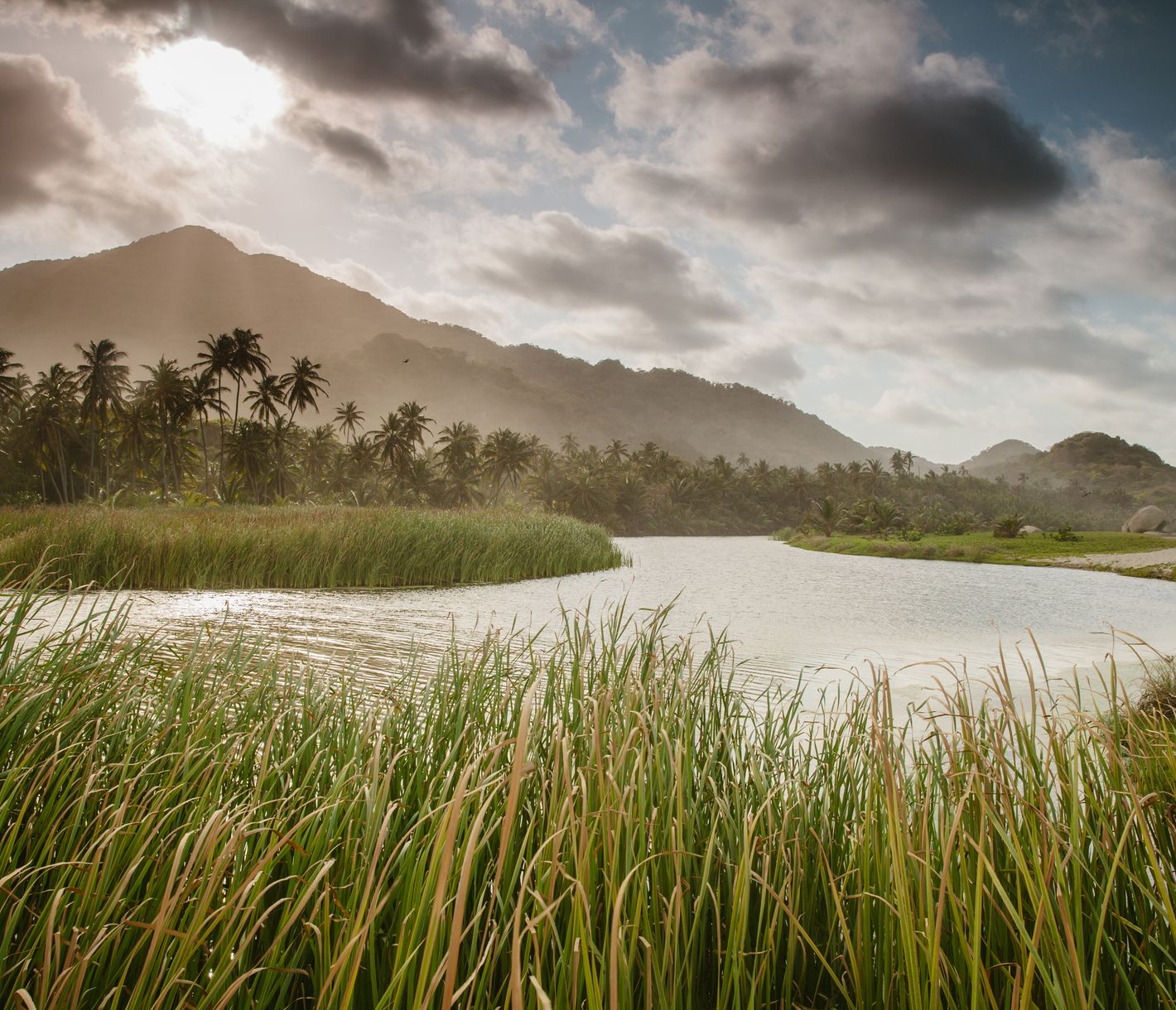 Üppige Natur im Tayrona-Nationalpark