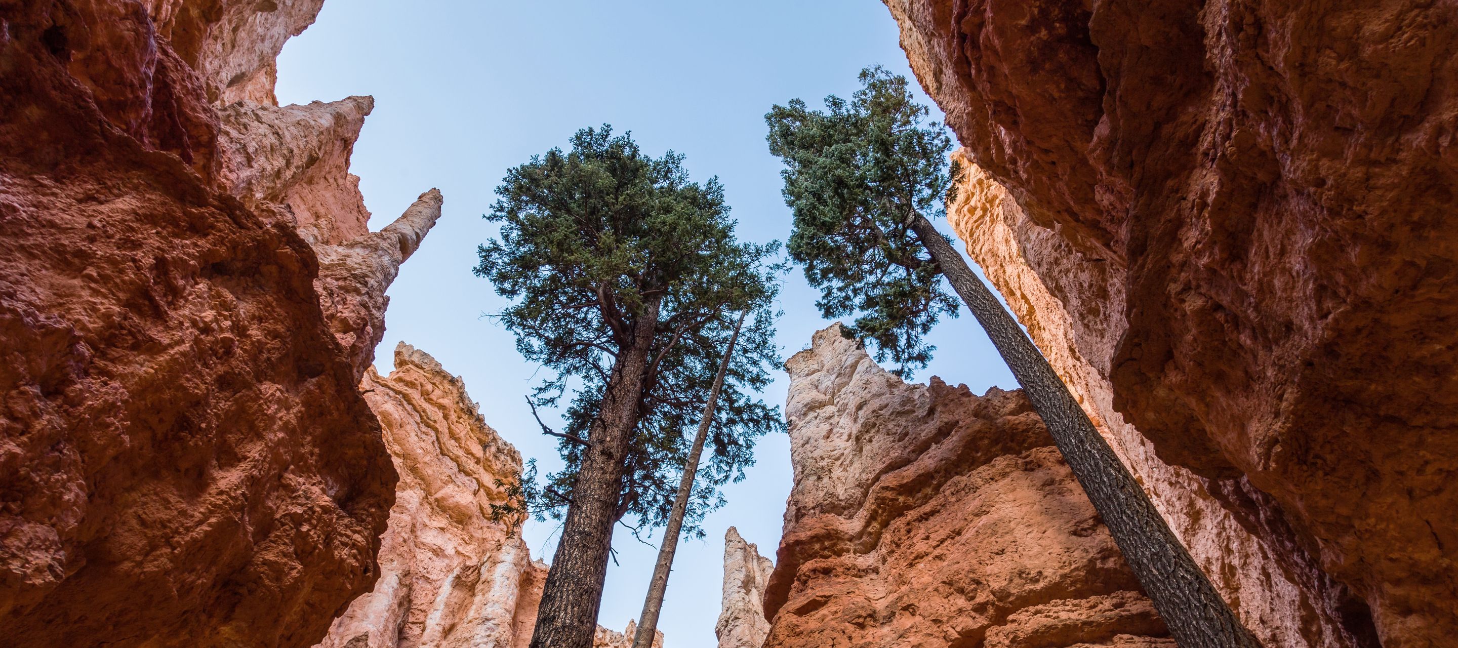 Bryce Canyon, un labyrinthe de hoodoos lumineux