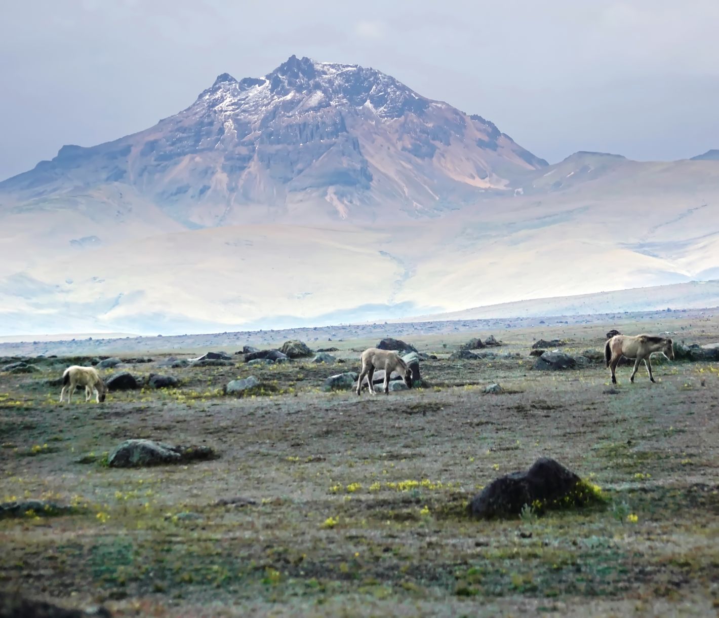 Unterwegs im Nationalpark Cotopaxi