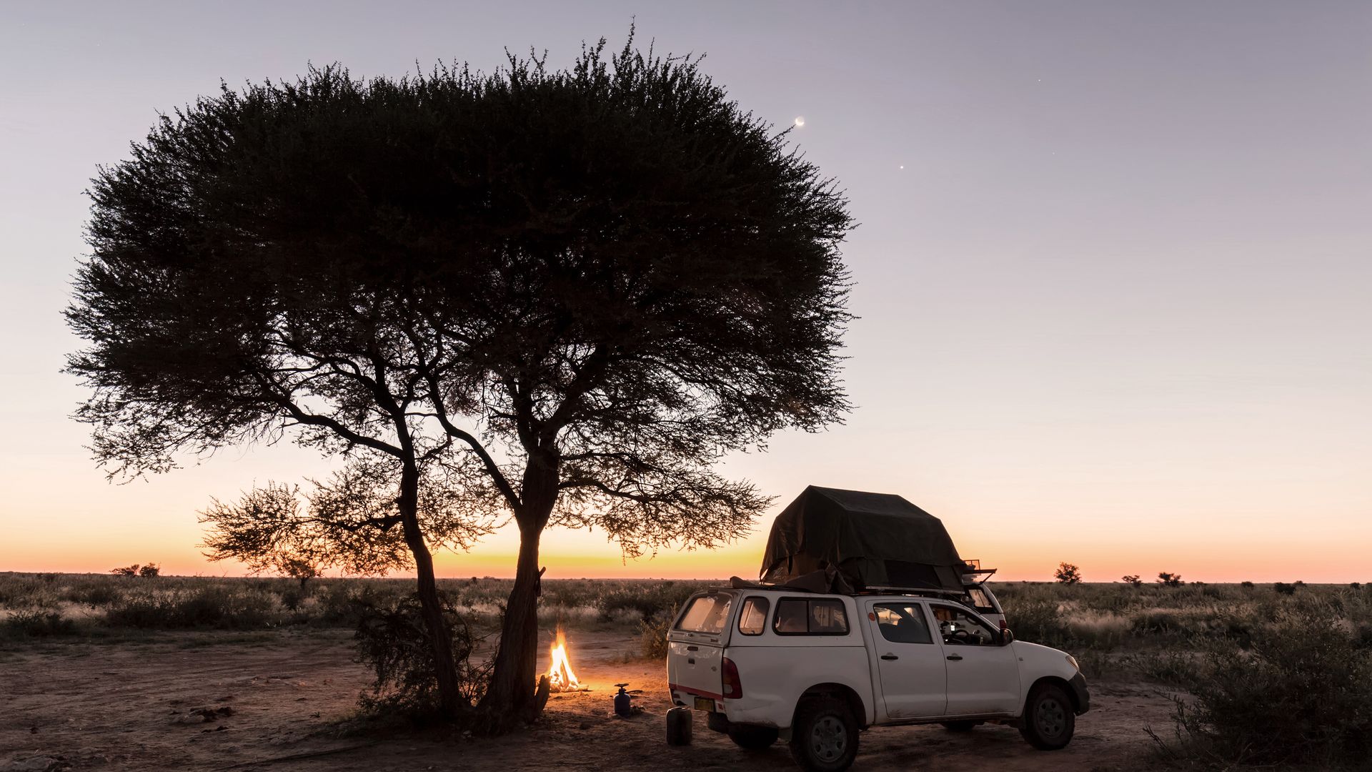 Nuit sur un site de camping sous un arbre