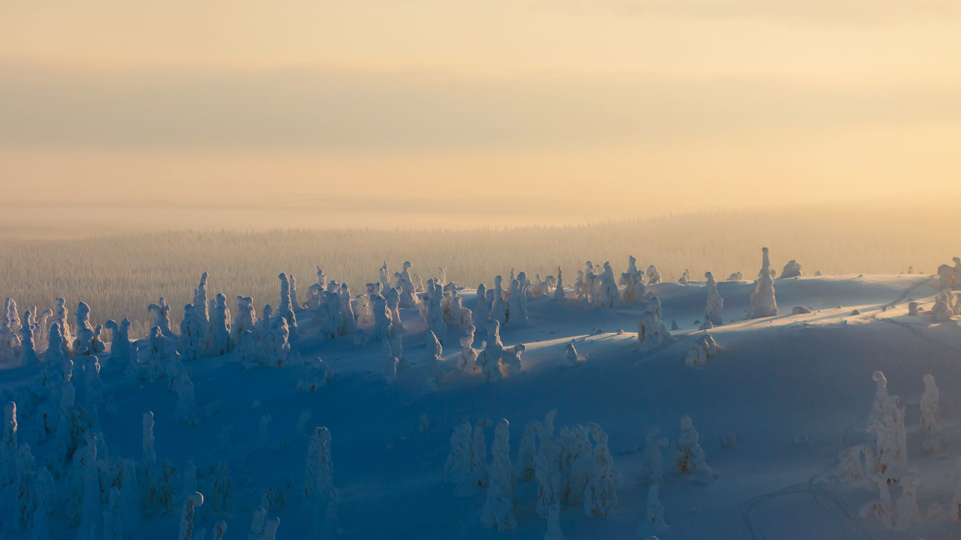 Winterlandschaft in der Dämmerung