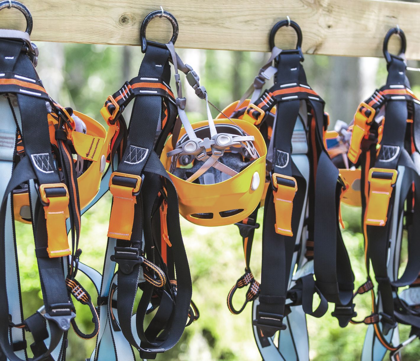 Wie ein Vogel durch die Baumwipfel fliegen