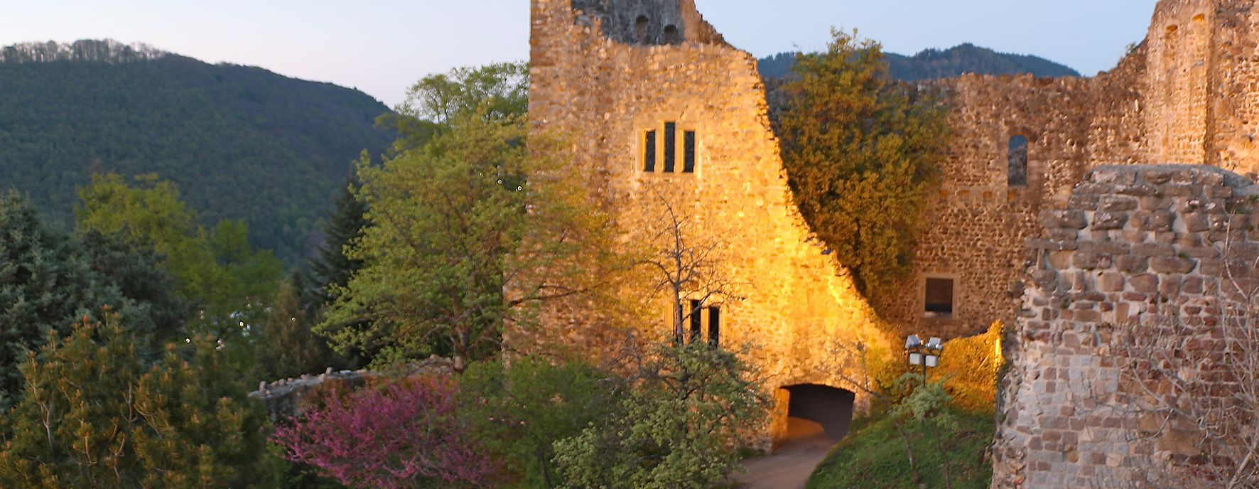 Schloss in Badenweiler