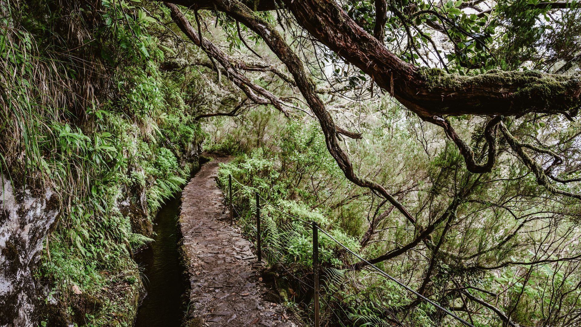 Die Levada do Caldeirão Verde