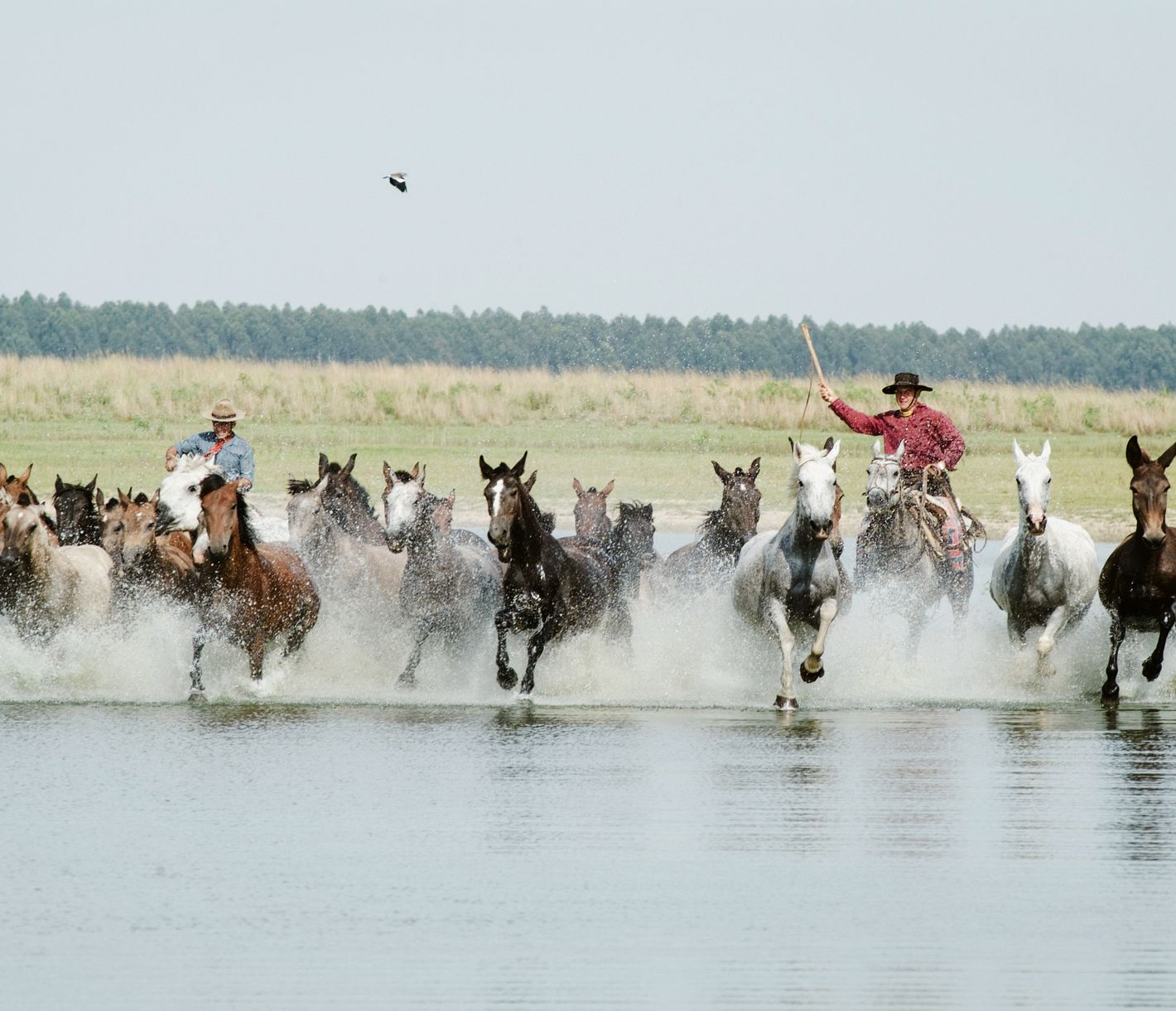 Pampa und Sumpflandschaft – von Gauchos und ihren Tieren besiedelt