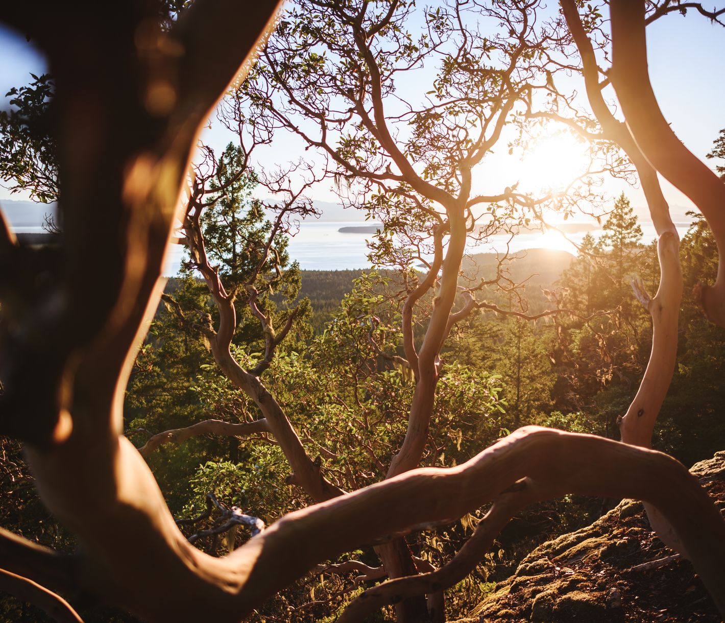 Wenn die Küste ihrem Namen alle Ehren macht.