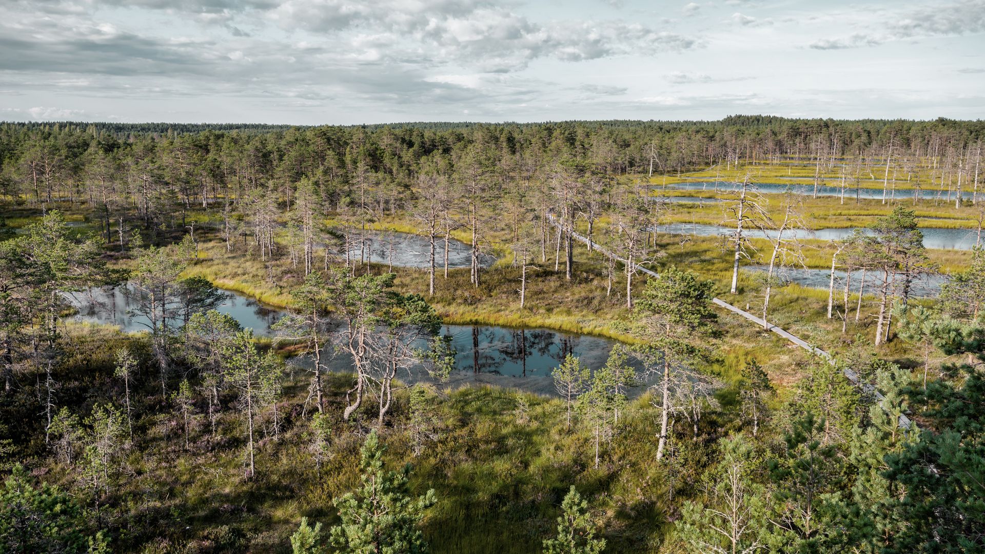 Lahemaa ist eines der bedeutendsten Gebiete Europas zum Schutz der Wälder.