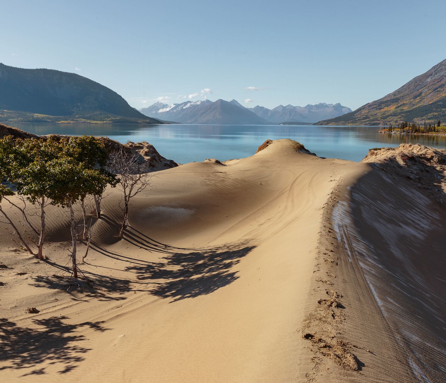 Die wohl kleinste Wüste der Welt