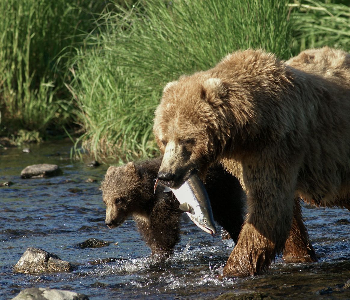 Auch Fischen muss gelernt sein.
