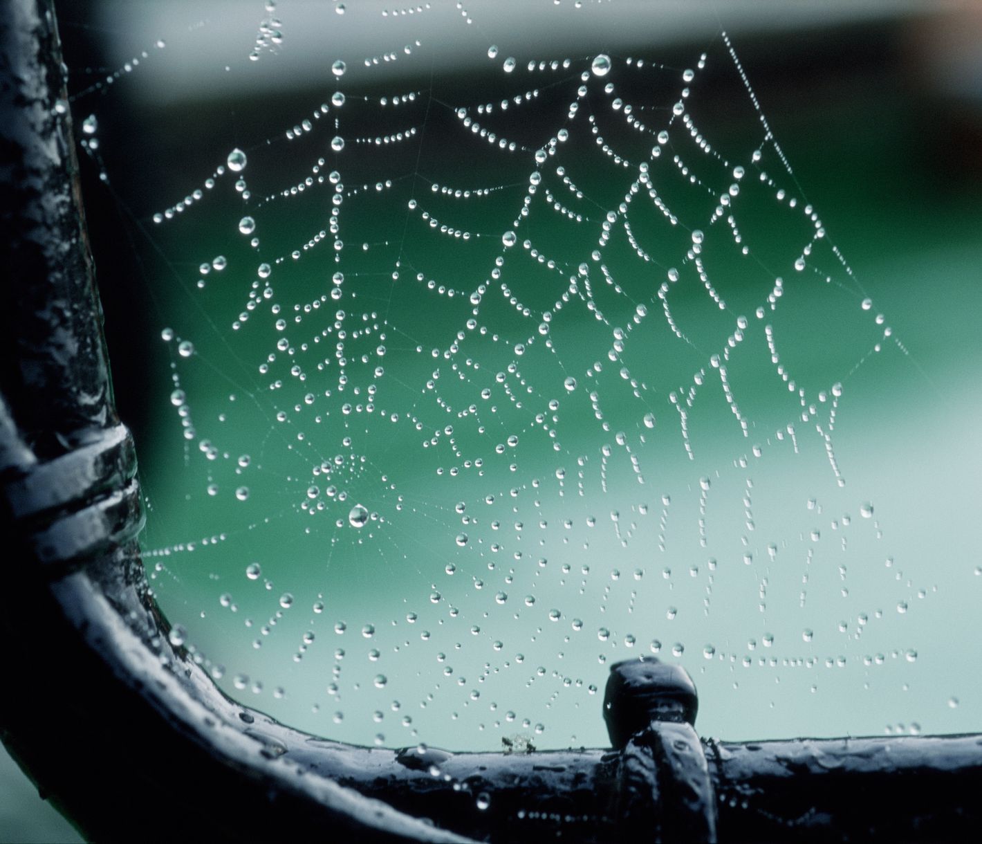 Ferien bei Wind und Wetter