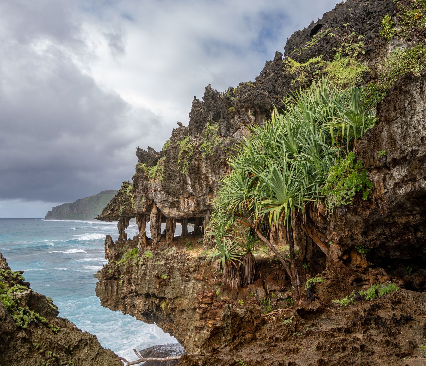 La Gueule du Monstre