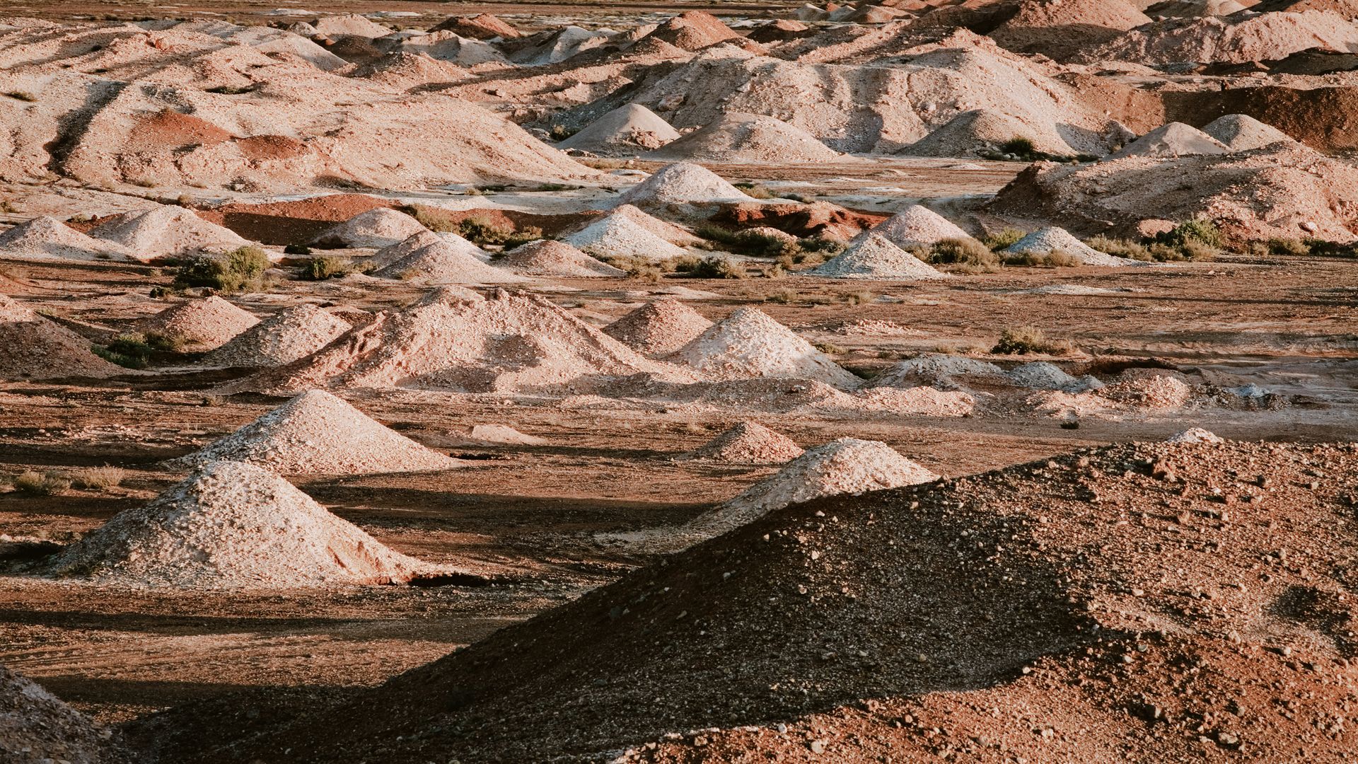 Wer buddelt denn hier?