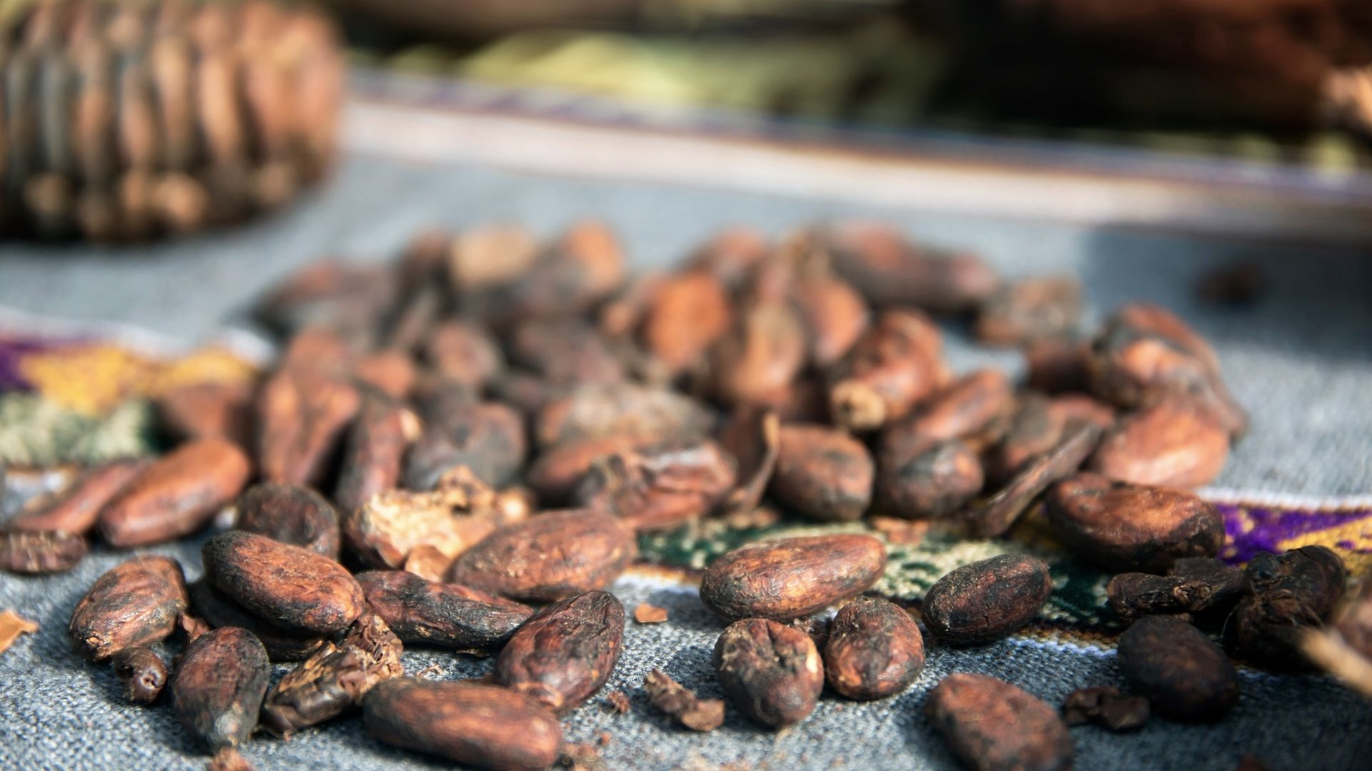 Museo del Chocolate, Uxmal