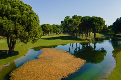 5. Bild der Unterkunft