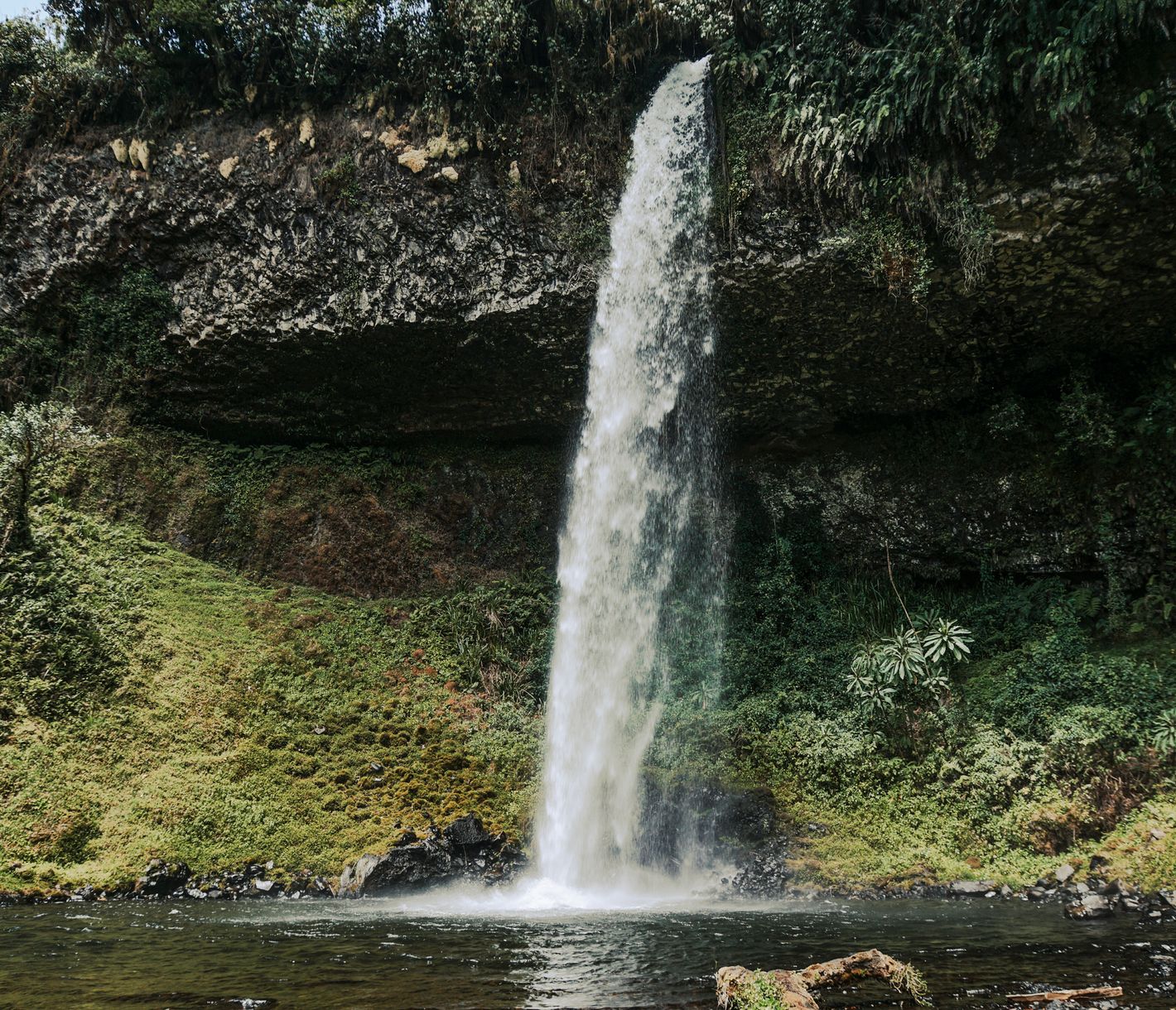 Wasserfall im dichten, tropischen Wald an den Ausläufern des Mount Kenya