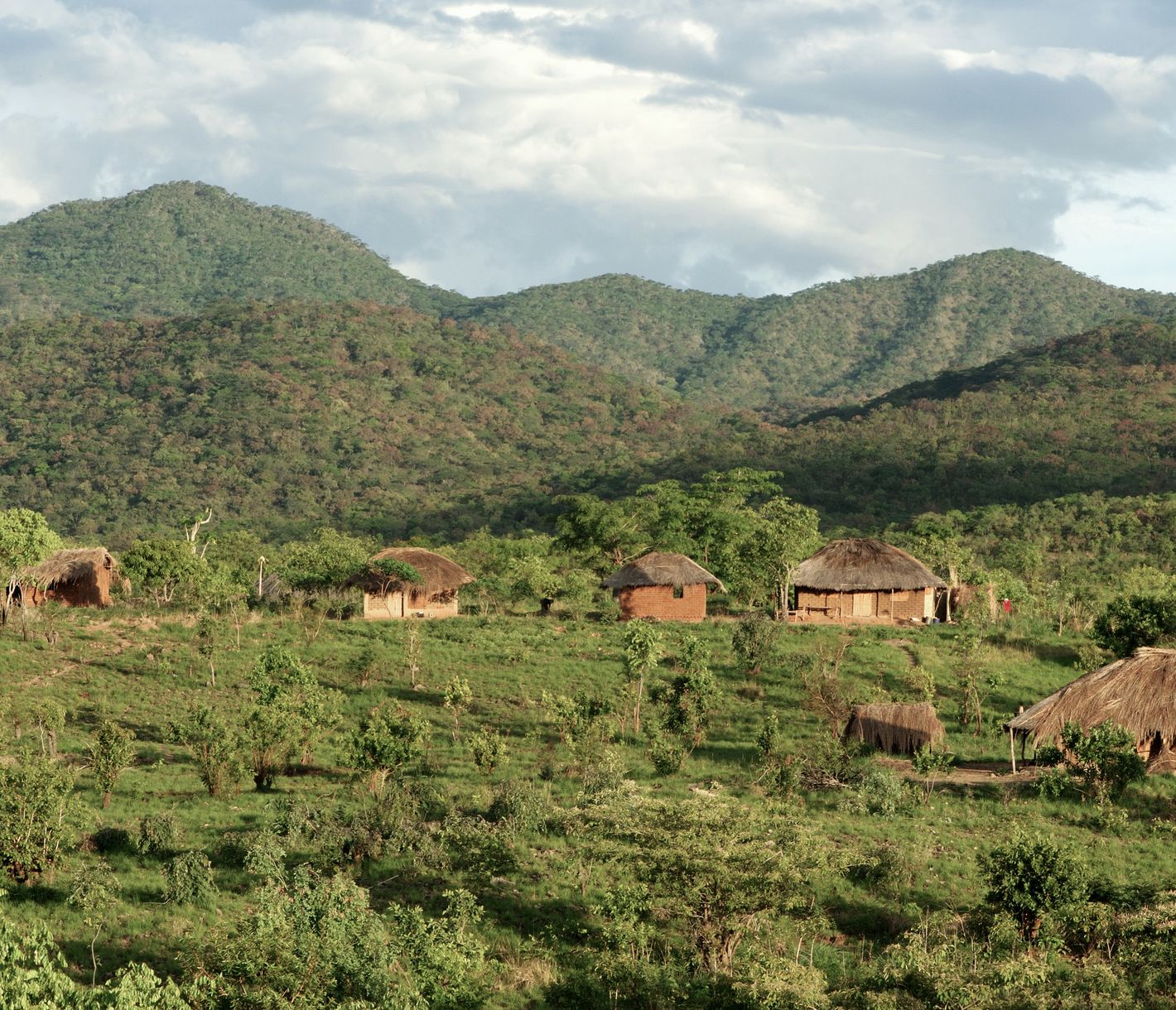 Üppige Wälder mit typischen Hütten am Ufer des Malawisees