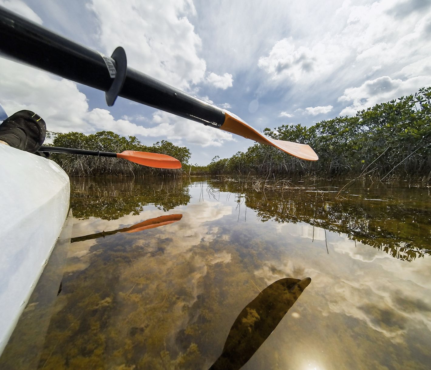 Blackwater River State Park