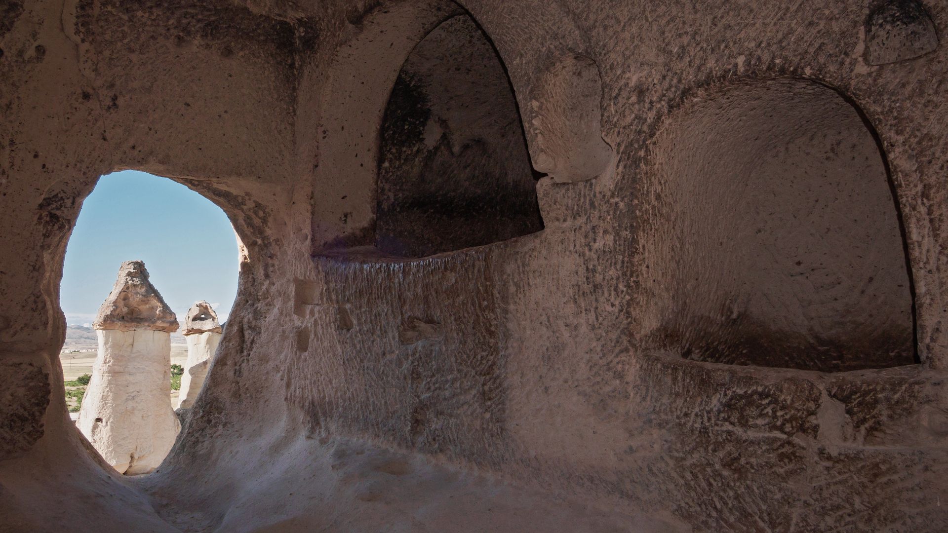 Quand la nature laisse libre cours à une imagination débridée...
