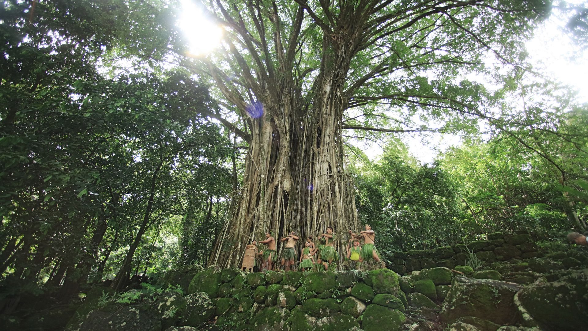 Une expérience inoubliable en connexion avec les ancêtres Polynésiens