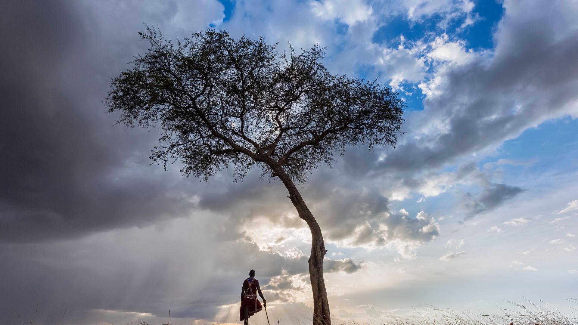Des nuages sombres s'amoncellent dans le ciel du Masaï Mara...