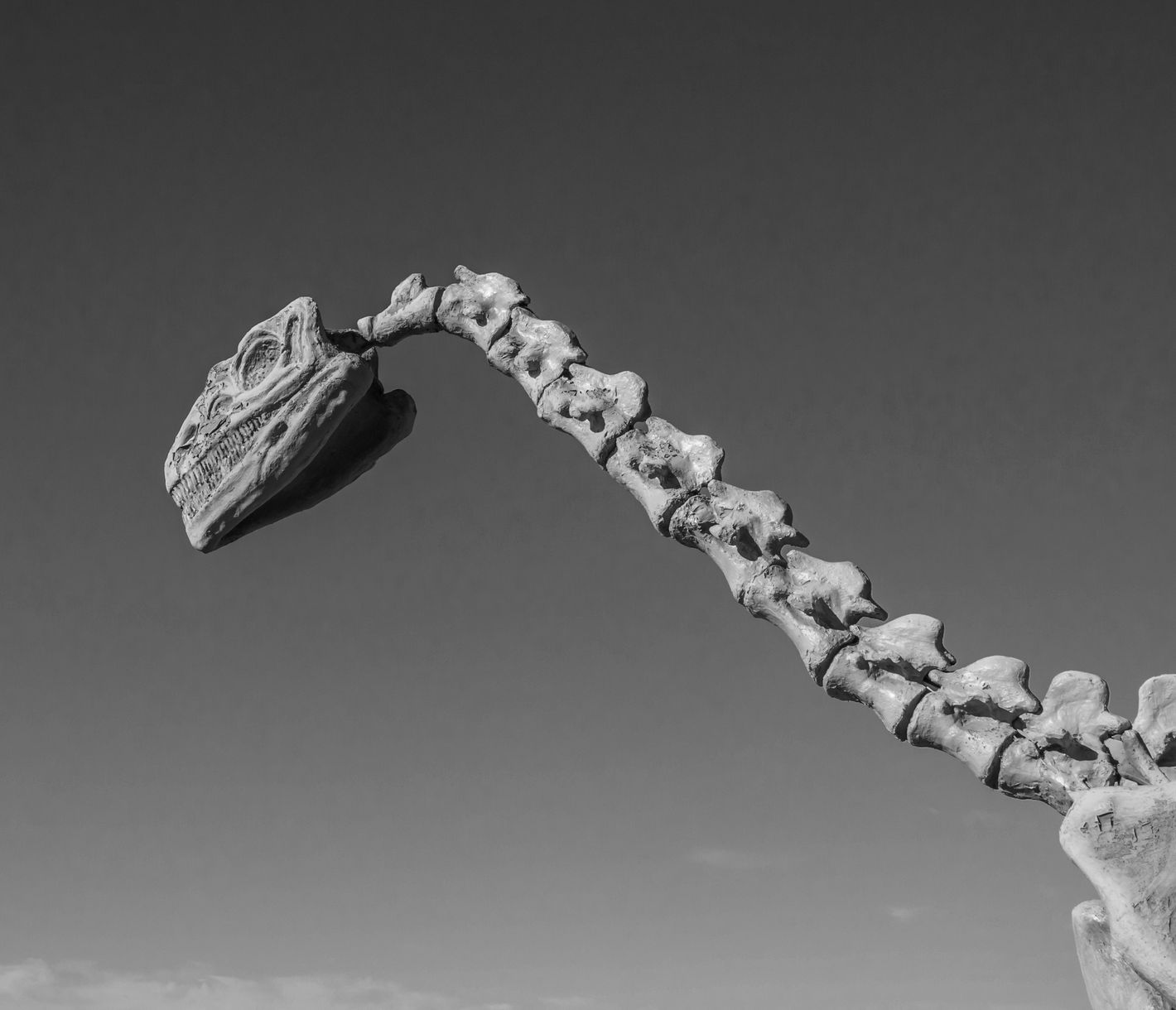 Die Dinosaurier-Funde beim Ischigualasto-Park gehören zu den ältesten der Erde.