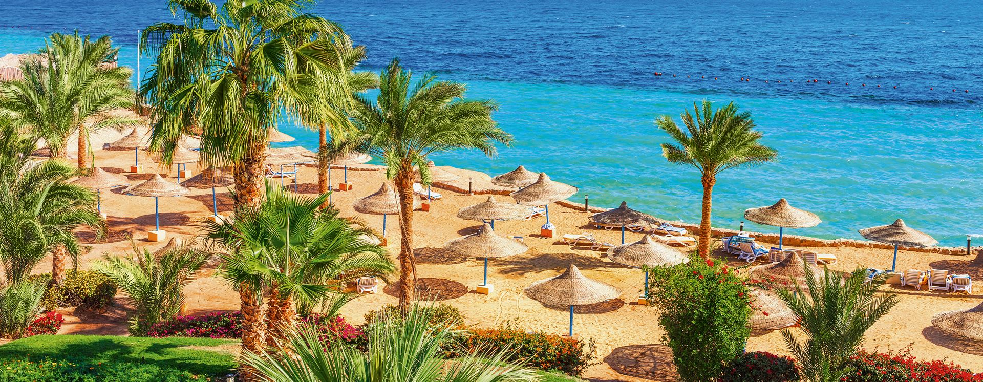 Badeferien in Sharm el-Sheikh