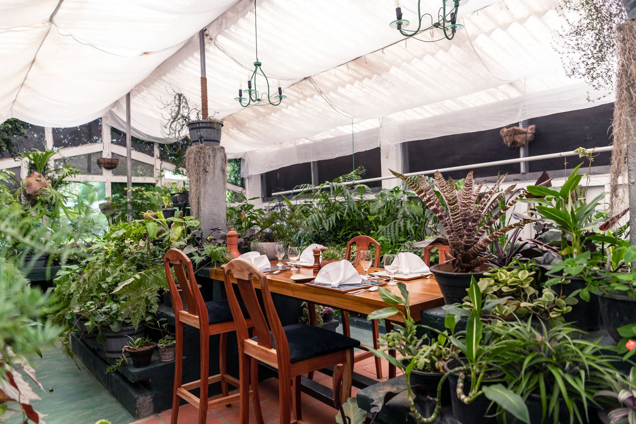 Green House