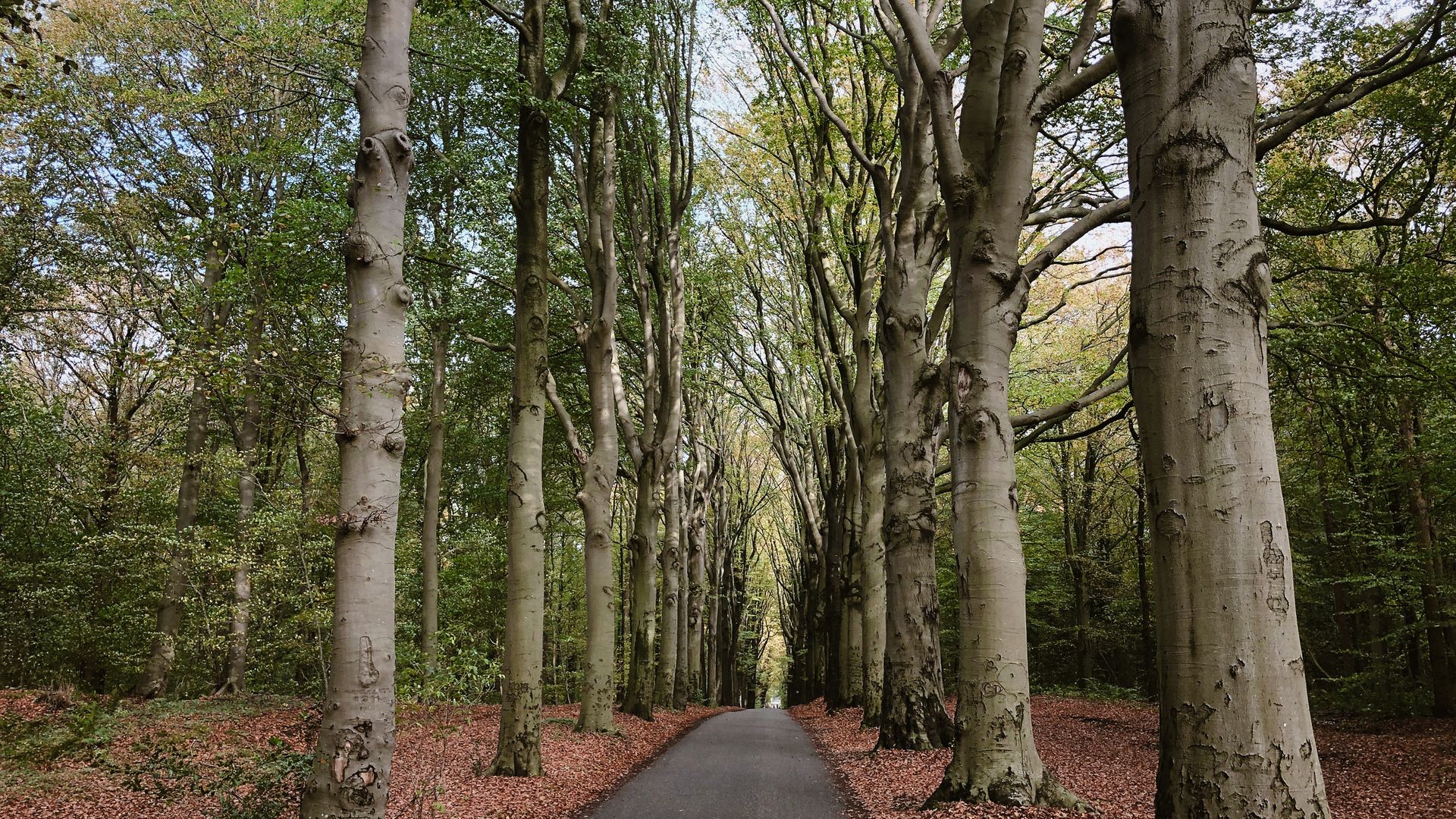 Natur und Idylle in Gaasterland