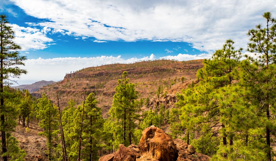 Parque Natural de Pilancones
