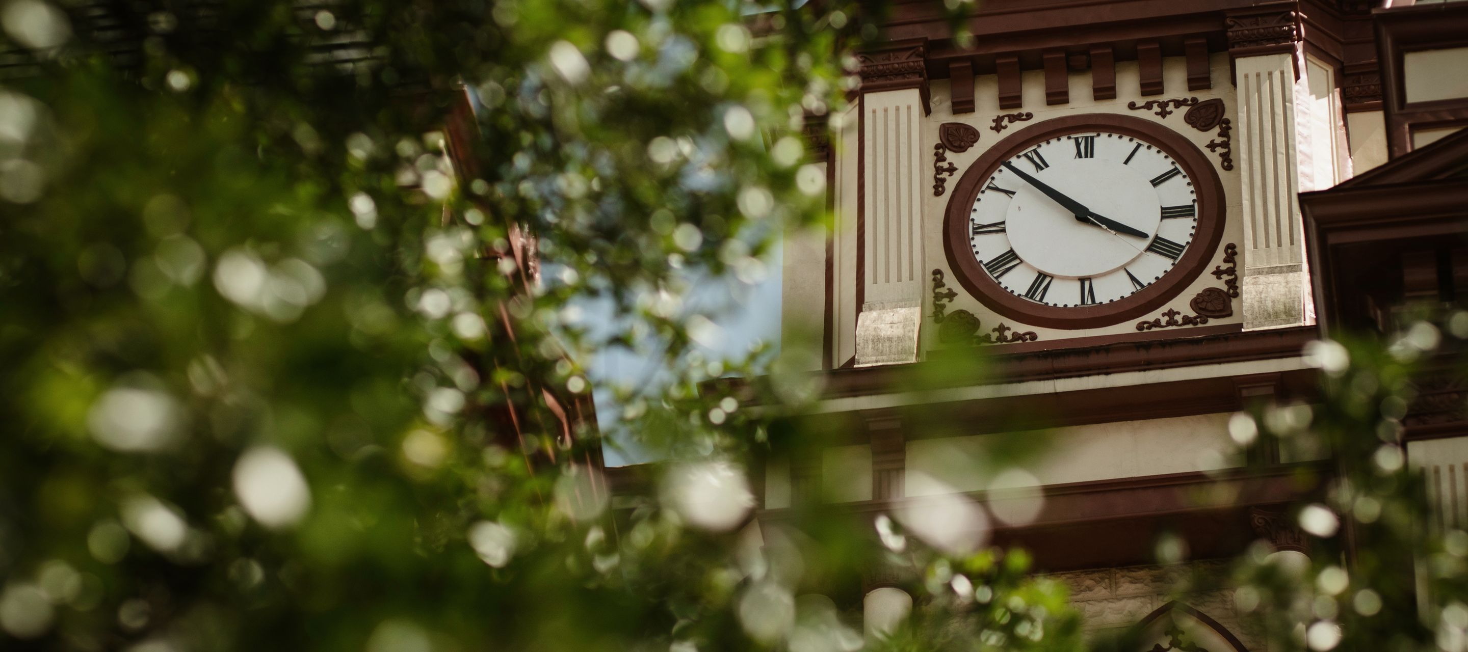 University of College