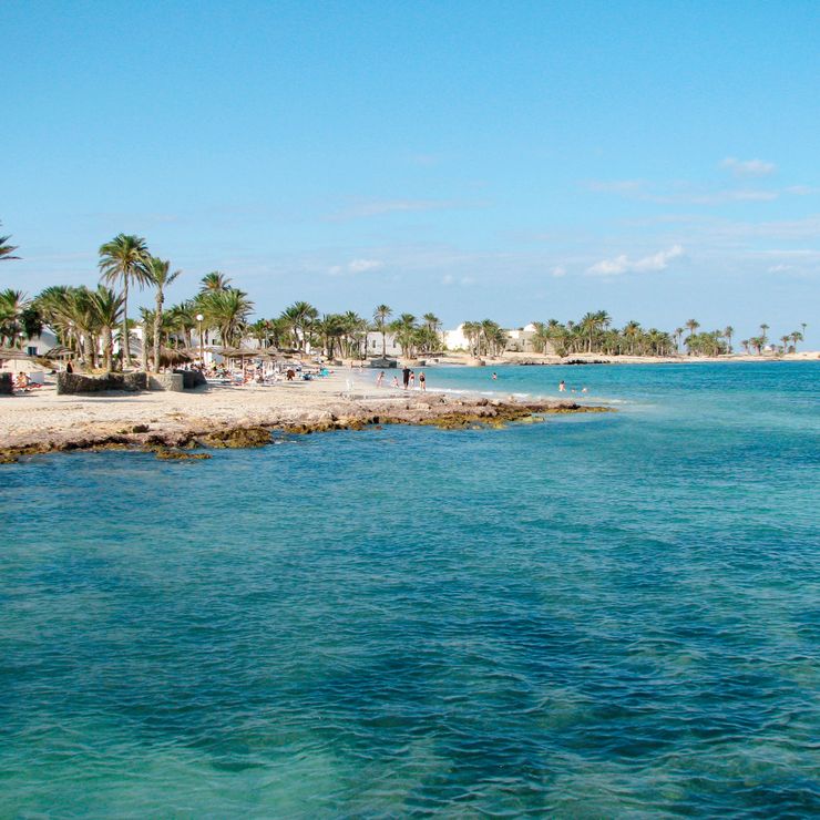 Palmenstrand auf der Insel Djerba