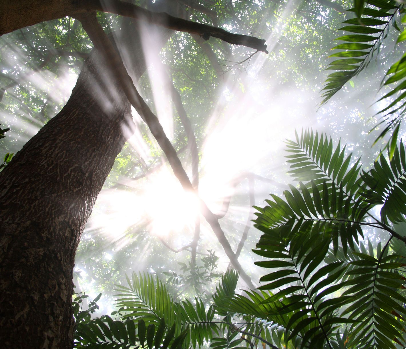 Costa Rica zieht Sie in den Bann und lässt Sie nicht mehr los!